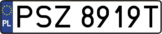 PSZ8919T