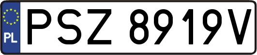 PSZ8919V