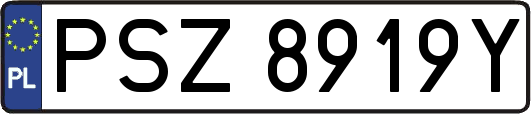 PSZ8919Y