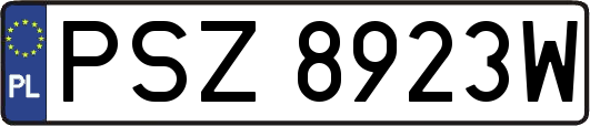 PSZ8923W