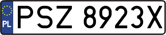 PSZ8923X