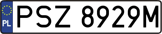 PSZ8929M