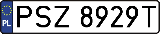 PSZ8929T