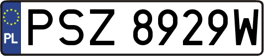 PSZ8929W