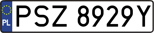 PSZ8929Y