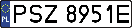 PSZ8951E