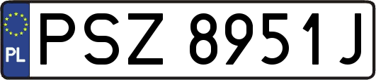 PSZ8951J