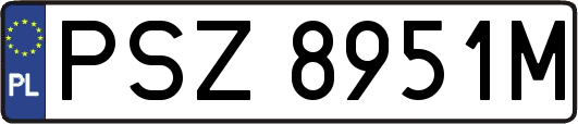 PSZ8951M