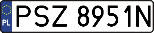 PSZ8951N