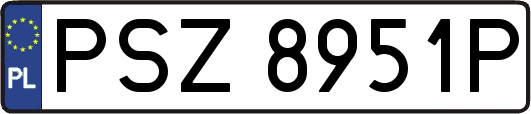 PSZ8951P