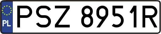 PSZ8951R