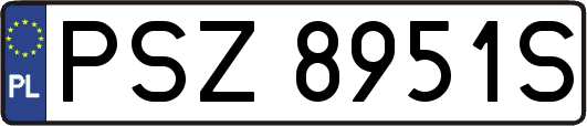 PSZ8951S