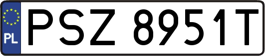 PSZ8951T