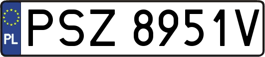 PSZ8951V