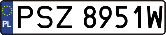 PSZ8951W