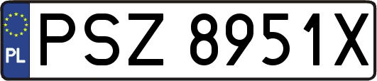 PSZ8951X