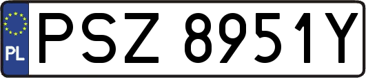 PSZ8951Y
