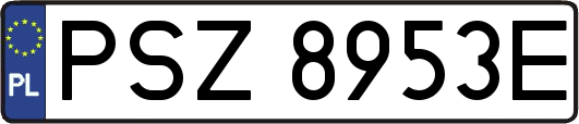 PSZ8953E