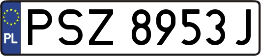 PSZ8953J