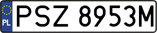 PSZ8953M