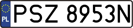 PSZ8953N