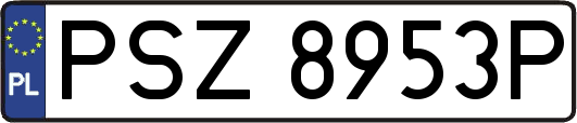 PSZ8953P
