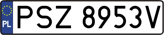 PSZ8953V