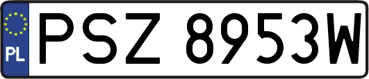 PSZ8953W
