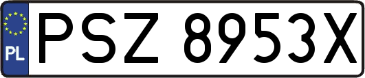 PSZ8953X
