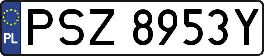 PSZ8953Y