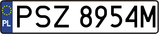 PSZ8954M