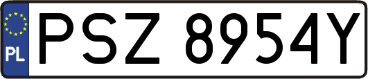 PSZ8954Y
