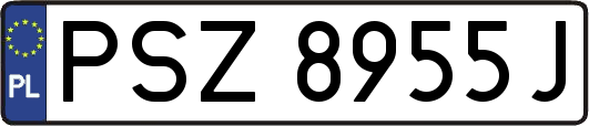 PSZ8955J