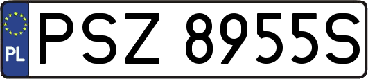 PSZ8955S