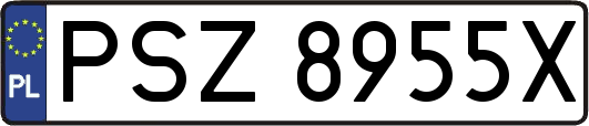 PSZ8955X