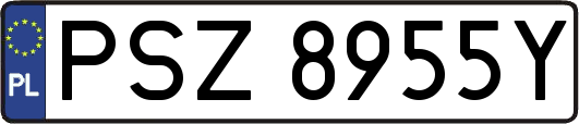 PSZ8955Y