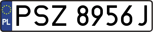 PSZ8956J