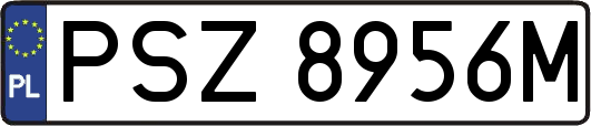 PSZ8956M