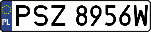 PSZ8956W