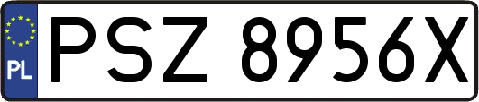 PSZ8956X