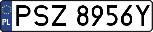 PSZ8956Y