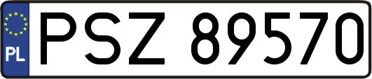PSZ89570