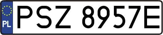 PSZ8957E