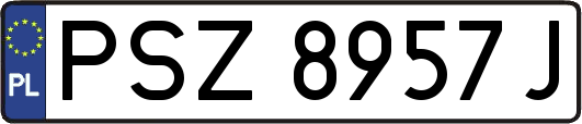PSZ8957J