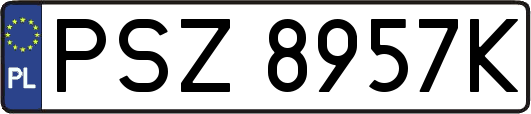 PSZ8957K