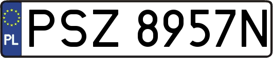 PSZ8957N