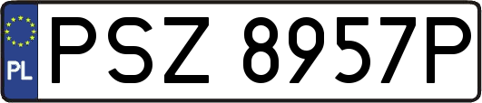 PSZ8957P