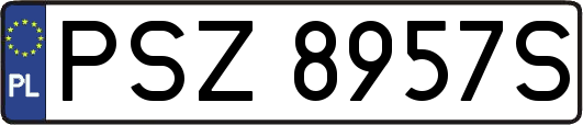 PSZ8957S