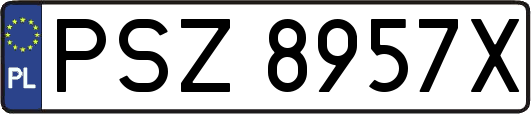 PSZ8957X