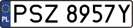 PSZ8957Y